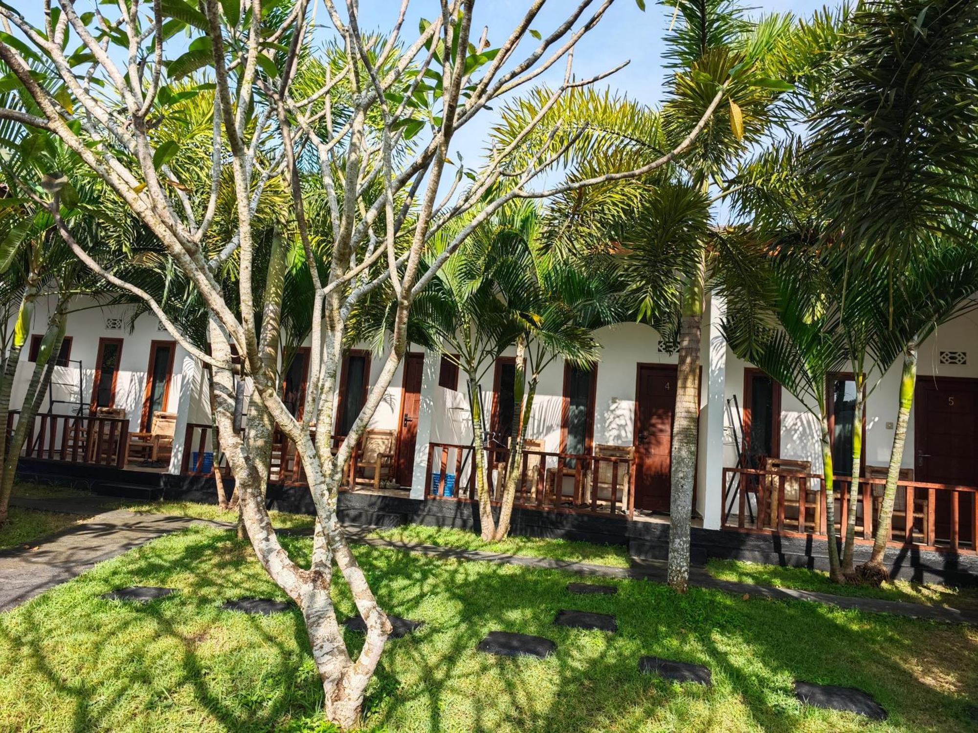 Surf Camp 79 Hotel Kuta  Luaran gambar